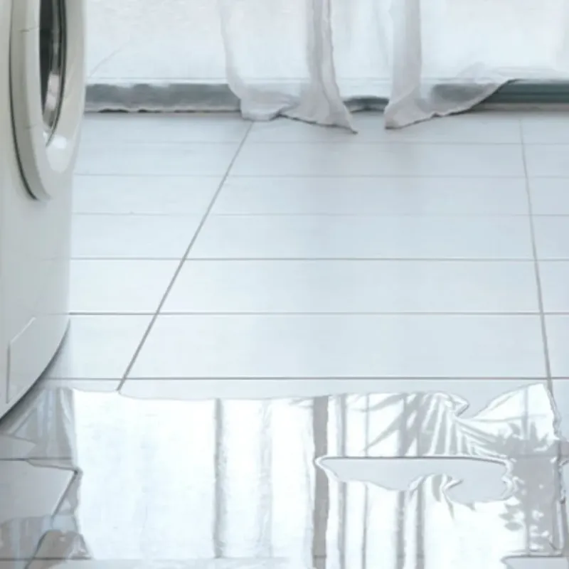 Appliance Leak Cleanup in Fulton County, OH