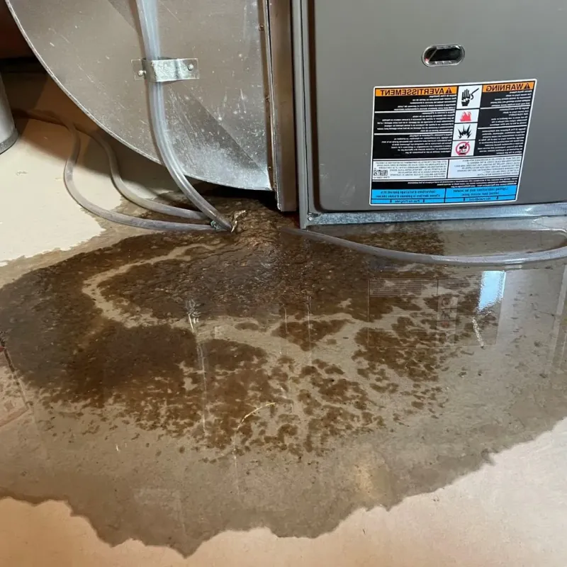 Pipe Burst and Leak Restoration in Fulton County, OH