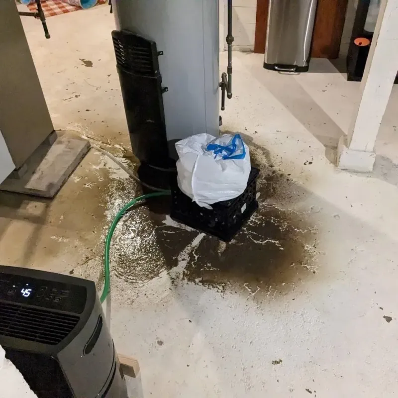 Sewage Backup Cleanup Service in Fulton County, OH